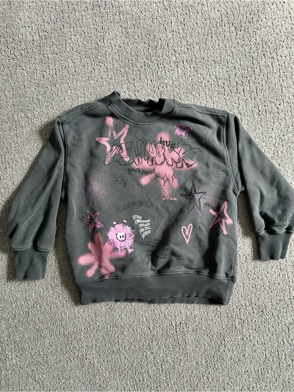 Zara Graphic Sweatshirt in Charcoal and Pink